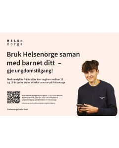 Tjenester for ungdom (nynorsk), flyer A5