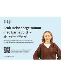 Tjenester for ungdom (nynorsk), flyer A5
