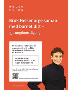 Tjenester for ungdom (nynorsk), plakat 50x70