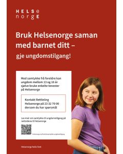 Tjenester for ungdom (nynorsk), plakat 50x70