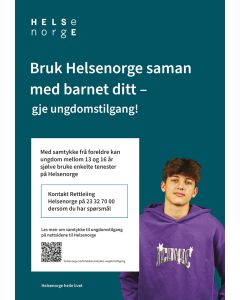 Tjenester for ungdom (nynorsk), plakat 70x100
