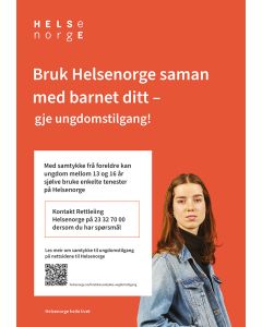 Tjenester for ungdom (nynorsk), plakat 70x100