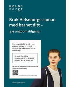 Tjenester for ungdom (nynorsk), plakat A3